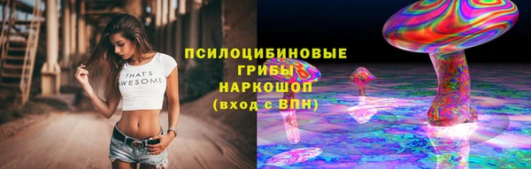 дмт Алексин