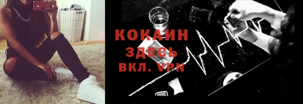сатива Абинск