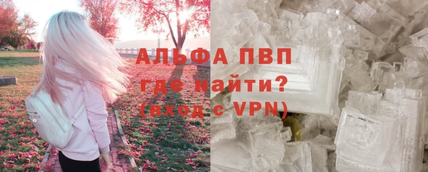 сатива Абинск