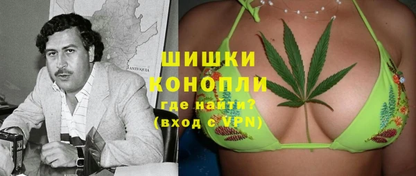 сатива Абинск