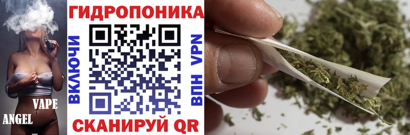 Конопля семена KRAKEN ссылки Почеп